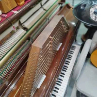 سنتور دو مهر موسوی ، خدمات و تعمیرات انواع سنتور|سازهای سنتی|تهران, فردوس|دیوار