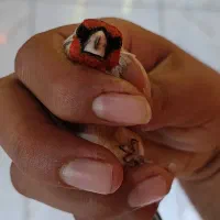 سهره نر|پرنده|قرچک, باقرآباد|دیوار