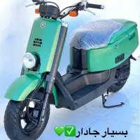 فروش پاکشتی بصورت تک و عمده|موتورسیکلت|شیراز, آبیاری|دیوار