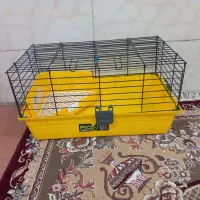 قفس نو زیر قیمت
