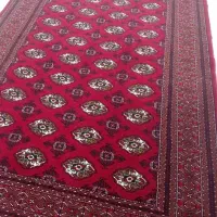فرش|فرش|گرگان, |دیوار