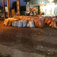 نیازمند نیروی کار جوان برای کارخانه برنجکوبی