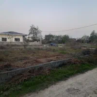 فروش زمین سلیم آباد تنکابن|فروش زمین و ملک کلنگی|تنکابن, |دیوار