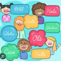 تدریس زبان انگلیسی، عربی، ایتالیایی