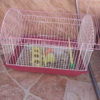 قفس پرنده سالم