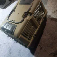 سگ ژرمن اصل اصل|سگ|آبادان, |دیوار