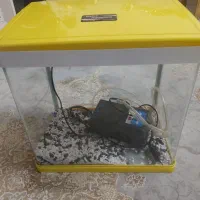 آکواریوم شیشه خم