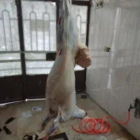 قصاب