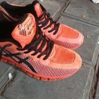 کفش اورجینال آسکیس