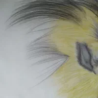 مداد رنگی فابر کاستل  ۳۶ رنگ و سه عدد پلی کروم|لوازم التحریر|تهران, کیانشهر|دیوار