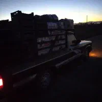 مزدا مدل۷۷|خودرو سواری و وانت|اراک, |دیوار