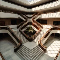 مهندس معمار طراح مسلط به رویت