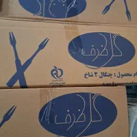 ظروف یکبار مصرف (توافقی)