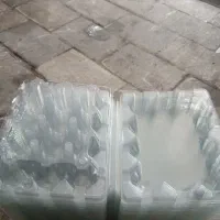 ظرف بلدرچین