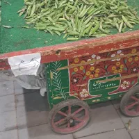 گاری|فروشگاه و مغازه|شهر ری, اقدسیه|دیوار