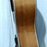 گیتار حرفه ای صفحه چوب اسپیروس|گیتار، بیس، امپلیفایر|تالش, هشتپر|دیوار