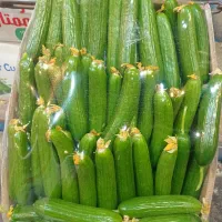 عرض میوه های لوکس مجالس|خوردنی و آشامیدنی|تهران, میدان میوه و تره‌بار مرکزی|دیوار