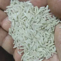 فروش برنج