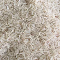 فروش برنج فجر
