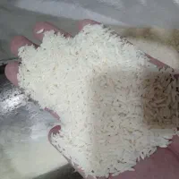 برنج هاشمی