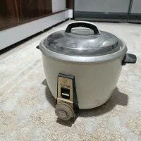 پلوپز برقی سالم