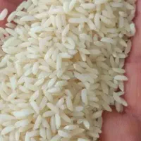 برنج درشت و سرلاشه طارم هاشمی اعلا