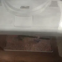 آکواریوم شیشه خم شرکتی در حد نو با تمام وسایل|ماهی|حمیدیا, |دیوار