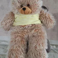 عروسک شاسخین