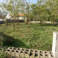 زمین واقع در گوراب زرمیخ