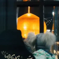 قربون کبوترای حرمت امام رضا...|فعالیت داوطلبانه|شیراز, شاهچراغ|دیوار