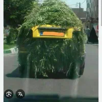 ضایعات سبزی و میوه