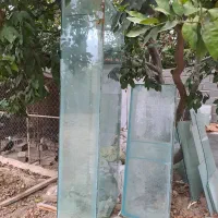 شهر اکواریوم|ماهی|ساری, |دیوار