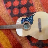 گیتار لودیر