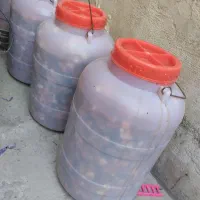 ترشی خانگی ترکیبی، کیلویی ۷۰ هزار تومان