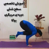 آموزش آنلاین سطوح دوره ی مربیگری یوگا|خدمات آموزشی|تهران, هفت حوض|دیوار