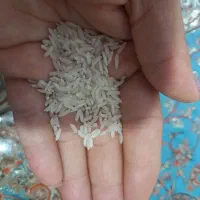 برنج هاشمی|خوردنی و آشامیدنی|شلمان, |دیوار