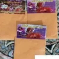 آشپزی خانم خرید خونه دانشجو اجاره خونه غذا خابگاه