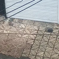 مغازه فروشی گرگانپارس،فروردین مرکزی