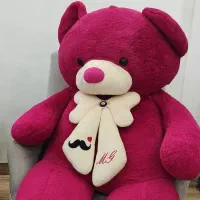 خرس عروسکی بزرگ|اسباببازی بچه|خمام, |دیوار