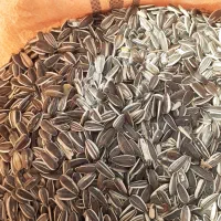 تخمهتازهدرشت|خوردنی و آشامیدنی|مشکیندشت, |دیوار