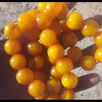 سلام سندلوس شمش کهنه مجدد تراش کوچک شده پاکستانی|کلکسیون اشیاء عتیقه|مرودشت, ژیان|دیوار
