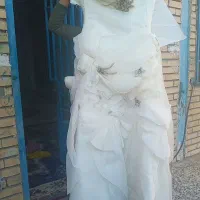لباس عروس نو توافقی