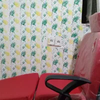 صندلی اصلاح‌نونو