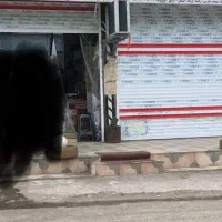 اجاره-یا-رهن-کامل-مغازه-ماسال