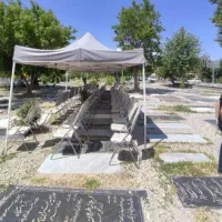 آلاچیق3در4ونیم سایبان321چادر