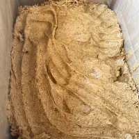 خمیر خرما سیس خاصه خرما|عمده‌فروشی|خشت, |دیوار