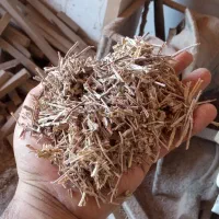 پوشال و خاک چوب گردو ۱۰۰درصدخشک