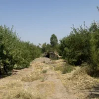 دهسراج