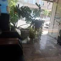 رهن و اجاره مغازه طالقانی جنوبی