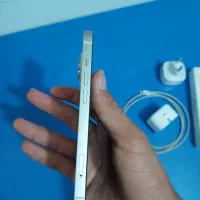 iPhone 13 normal|موبایل|بم, |دیوار